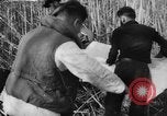 Image of United States ship Pannay China, 1937, second 47 stock footage video 65675042114