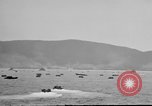 Standbild Rauch Bildschirm auf Iheya Jima Strand Iheya Jima Japan, 1945, aus Sekunde 11 historischem Filmmaterial Videoclip 65675042117