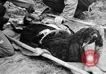 Standbild verletzten Japaner auf Iheya Jima Iheya Jima Japan, 1945, aus Sekunde 16 historischem Filmmaterial Videoclip 65675042118