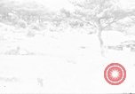 Standbild US Military Police guard Japanisch auf Iheya Jima Iheya Jima Japan, 1945, aus Sekunde 1 historischem Filmmaterial Videoclip 65675042119