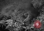Immagine di Stati Uniti Marines Senaga Shima Giappone, 1945, secondo 20 filmato di repertorio 65675042120