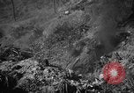 Immagine di Stati Uniti Marines Senaga Shima Giappone, 1945, secondo 21 filmato di repertorio 65675042120