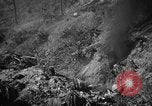 Immagine di Stati Uniti Marines Senaga Shima Giappone, 1945, secondo 22 filmato di repertorio 65675042120