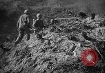 Immagine di Stati Uniti Marines Senaga Shima Giappone, 1945, secondo 30 filmato di repertorio 65675042120