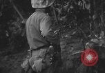Immagine di Stati Uniti Marines Senaga Shima Giappone, 1945, secondo 42 filmato di repertorio 65675042120