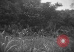 Immagine di Stati Uniti Marines Senaga Shima Giappone, 1945, secondo 55 filmato di repertorio 65675042120