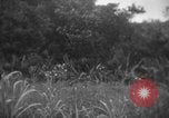 Immagine di Stati Uniti Marines Senaga Shima Giappone, 1945, secondo 56 filmato di repertorio 65675042120