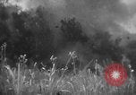Immagine di Stati Uniti Marines Senaga Shima Giappone, 1945, secondo 58 filmato di repertorio 65675042120