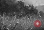 Immagine di Stati Uniti Marines Senaga Shima Giappone, 1945, secondo 60 filmato di repertorio 65675042120