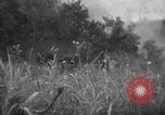 Immagine di Stati Uniti Marines Senaga Shima Giappone, 1945, secondo 61 filmato di repertorio 65675042120