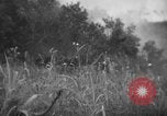 Immagine di Stati Uniti Marines Senaga Shima Giappone, 1945, secondo 62 filmato di repertorio 65675042120