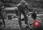 Immagine di Lanciafiamme Senaga Shima Giappone, 1945, secondo 15 filmato di repertorio 65675042121