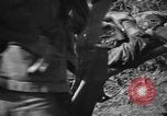 Immagine di Lanciafiamme Senaga Shima Giappone, 1945, secondo 42 filmato di repertorio 65675042121