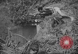 Immagine di Lanciafiamme Senaga Shima Giappone, 1945, secondo 44 filmato di repertorio 65675042121