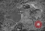 Immagine di Lanciafiamme Senaga Shima Giappone, 1945, secondo 46 filmato di repertorio 65675042121