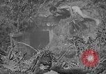 Immagine di Lanciafiamme Senaga Shima Giappone, 1945, secondo 47 filmato di repertorio 65675042121