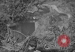 Immagine di Lanciafiamme Senaga Shima Giappone, 1945, secondo 48 filmato di repertorio 65675042121