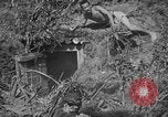 Immagine di Lanciafiamme Senaga Shima Giappone, 1945, secondo 50 filmato di repertorio 65675042121
