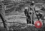 Immagine di Lanciafiamme Senaga Shima Giappone, 1945, secondo 59 filmato di repertorio 65675042121