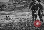 Immagine di Lanciafiamme Senaga Shima Giappone, 1945, secondo 62 filmato di repertorio 65675042121