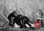 Immagine di Uomini feriti Nanchino Cina, 1937, secondo 9 filmato di repertorio 65675042123