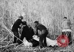 Immagine di Uomini feriti Nanchino Cina, 1937, secondo 10 filmato di repertorio 65675042123