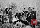 Immagine di Uomini feriti Nanchino Cina, 1937, secondo 20 filmato di repertorio 65675042123