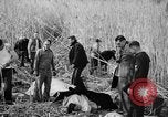 Immagine di Uomini feriti Nanchino Cina, 1937, secondo 21 filmato di repertorio 65675042123