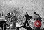 Immagine di Uomini feriti Nanchino Cina, 1937, secondo 23 filmato di repertorio 65675042123