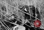 Immagine di Uomini feriti Nanchino Cina, 1937, secondo 33 filmato di repertorio 65675042123