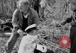 Immagine di Uomini feriti Nanchino Cina, 1937, secondo 48 filmato di repertorio 65675042123