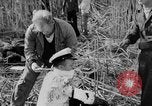 Immagine di Uomini feriti Nanchino Cina, 1937, secondo 49 filmato di repertorio 65675042123