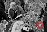 Immagine di Uomini feriti Nanchino Cina, 1937, secondo 50 filmato di repertorio 65675042123