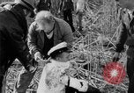 Immagine di Uomini feriti Nanchino Cina, 1937, secondo 51 filmato di repertorio 65675042123
