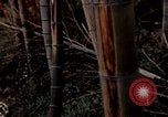 Image of effects of flash burn Hiroshima Japan, 1946, second 5 stock footage video 65675042125