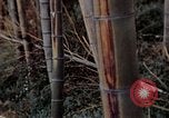 Image of effects of flash burn Hiroshima Japan, 1946, second 6 stock footage video 65675042125
