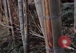 Image of effects of flash burn Hiroshima Japan, 1946, second 7 stock footage video 65675042125