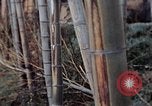 Image of effects of flash burn Hiroshima Japan, 1946, second 8 stock footage video 65675042125