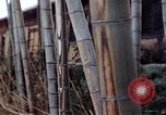 Image of effects of flash burn Hiroshima Japan, 1946, second 10 stock footage video 65675042125