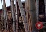 Image of effects of flash burn Hiroshima Japan, 1946, second 11 stock footage video 65675042125