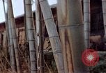 Image of effects of flash burn Hiroshima Japan, 1946, second 12 stock footage video 65675042125