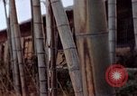 Image of effects of flash burn Hiroshima Japan, 1946, second 13 stock footage video 65675042125