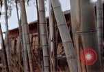 Image of effects of flash burn Hiroshima Japan, 1946, second 17 stock footage video 65675042125