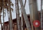 Image of effects of flash burn Hiroshima Japan, 1946, second 19 stock footage video 65675042125