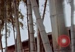 Image of effects of flash burn Hiroshima Japan, 1946, second 20 stock footage video 65675042125