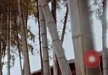 Image of effects of flash burn Hiroshima Japan, 1946, second 21 stock footage video 65675042125