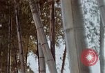 Image of effects of flash burn Hiroshima Japan, 1946, second 23 stock footage video 65675042125