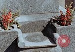 Image of effects of flash burn Hiroshima Japan, 1946, second 54 stock footage video 65675042125