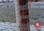 Standbild Telefonmast Hiroshima Japan, 1946, aus Sekunde 3 historischem Filmmaterial Videoclip 65675042132