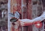 Standbild Telefonmast Hiroshima Japan, 1946, aus Sekunde 13 historischem Filmmaterial Videoclip 65675042134